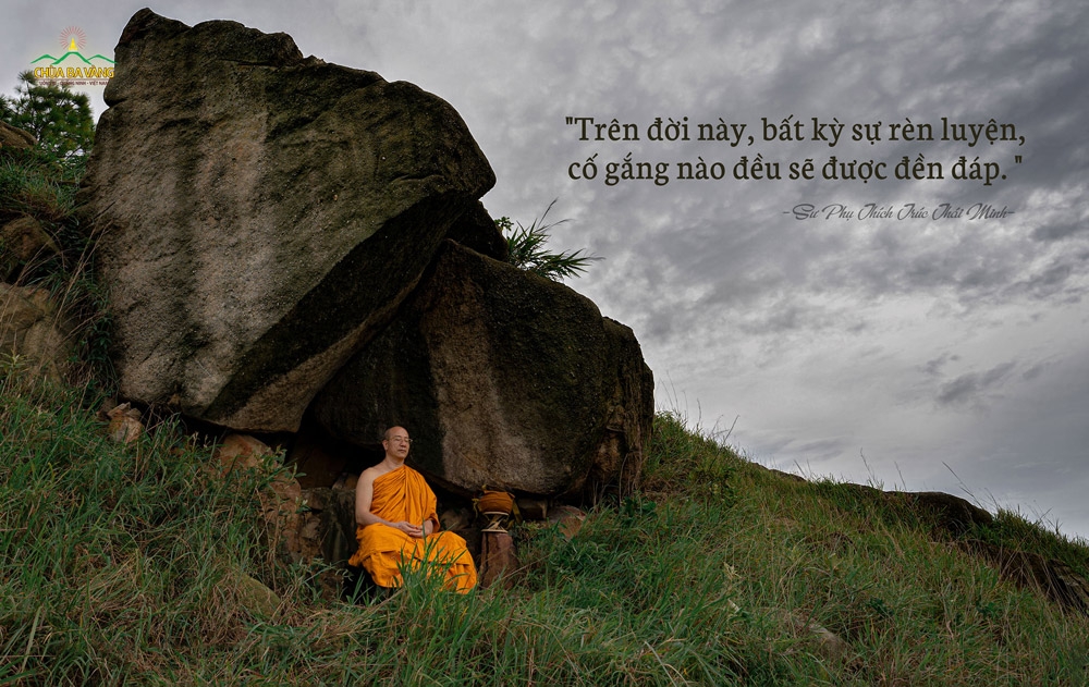 Sư Phụ Thích Trúc Thái Minh tu tập thiền định trong rừng thiền để dứt trừ phiền não, mong cầu thành tựu giải thoát